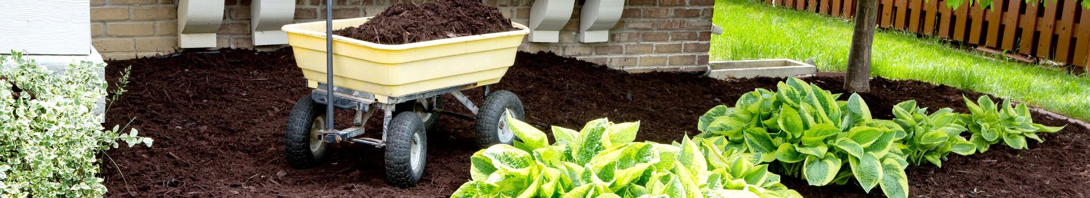 mulch