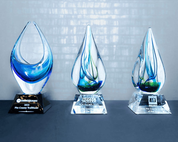 Trophies for Industry of the Year 2025