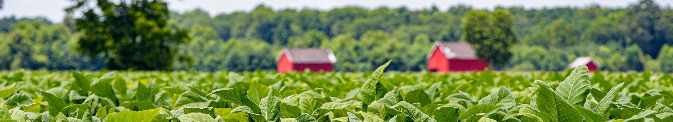 Voluntary Agricultural Districts