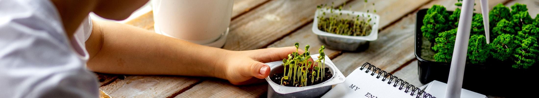 Conservation Workshop